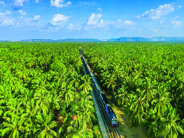 Tuyến đường sắt xuyên qua rừng dừa (Bình Định)